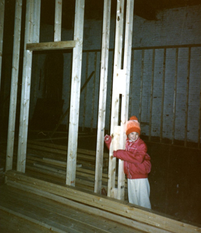 dana_wallframing dana_wallframing