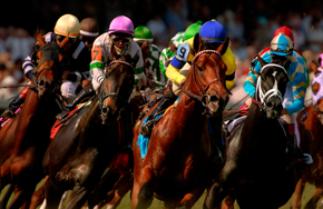 race race