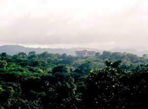 jamaica