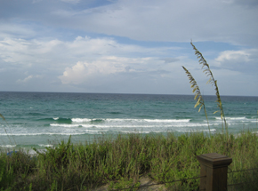 beach1 Blue Mountain Beach