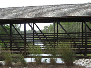 bridge bridge