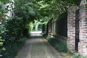 img_1000_resize img_1000_resize