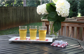 Shandy