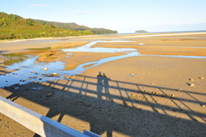 abel_tasman_park_NZ_RESIZE Abel Tasman National Park, New Zealand
