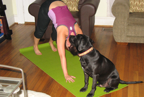 dp_yoga