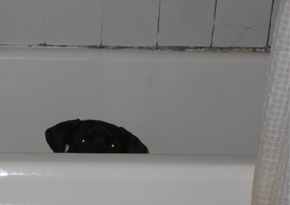 Otis_Tub