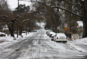 SnowDay