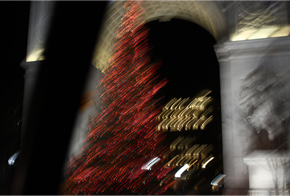WashingtonSqPark_Tree