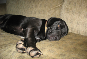 Couch_Before2