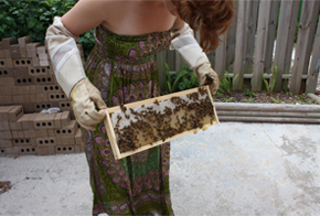Bee
