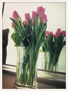 tulips