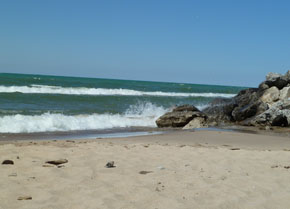 Wave1