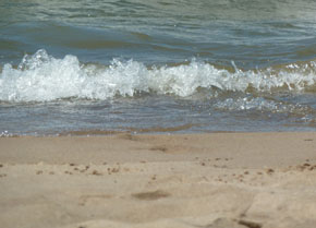 Wave2