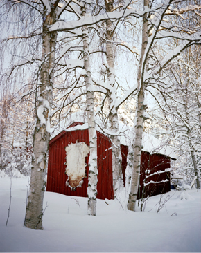 SAMI01