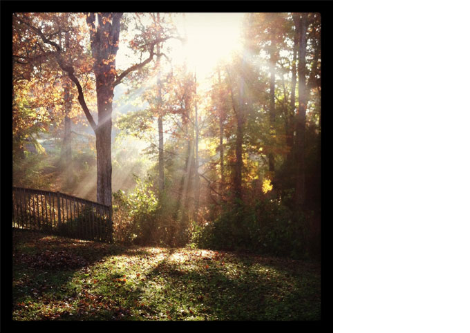 Autumn_FarmWalk