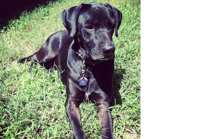 Otis