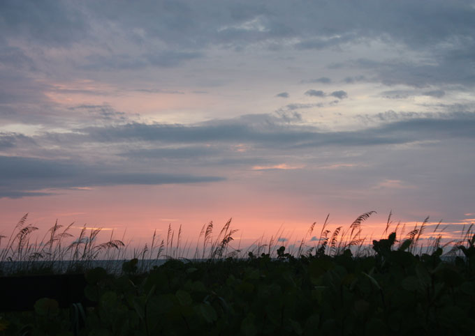 SeaOats